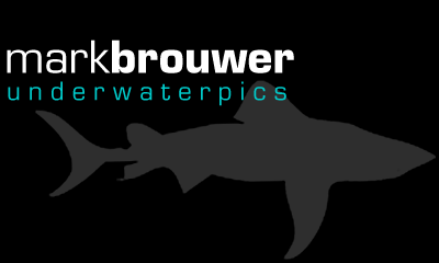 markbrouwer | underwaterpics
